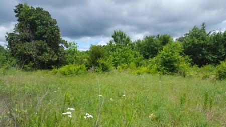 Home and Shop with Pasture Land in Boswell Oklahoma - image 20