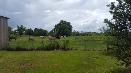 Home and Shop with Pasture Land in Boswell Oklahoma - image 6