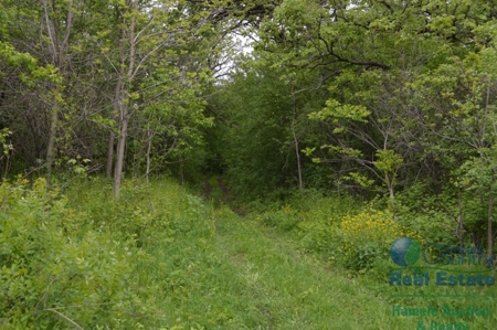 97 +/- Acres Columbia County Multi Parcel Land Auction July - image 21