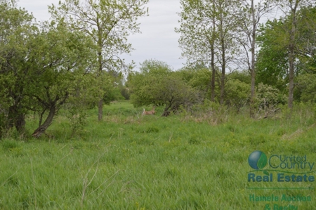 97 +/- Acres Columbia County Multi Parcel Land Auction July - image 2