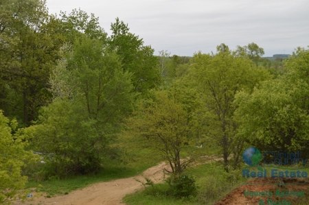 97 +/- Acres Columbia County Multi Parcel Land Auction July - image 16