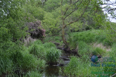 97 +/- Acres Columbia County Multi Parcel Land Auction July - image 3