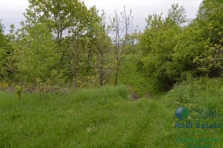 97 +/- Acres Columbia County Multi Parcel Land Auction July - image 20