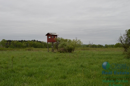 97 +/- Acres Columbia County Multi Parcel Land Auction July - image 1