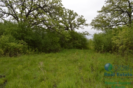 97 +/- Acres Columbia County Multi Parcel Land Auction July - image 19