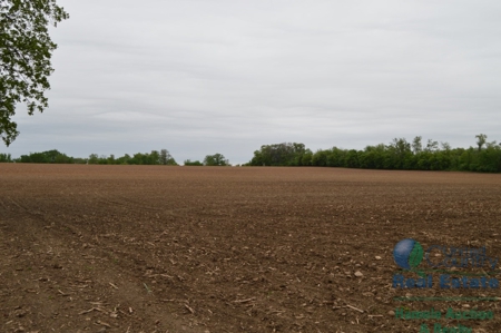 97 +/- Acres Columbia County Multi Parcel Land Auction July - image 13
