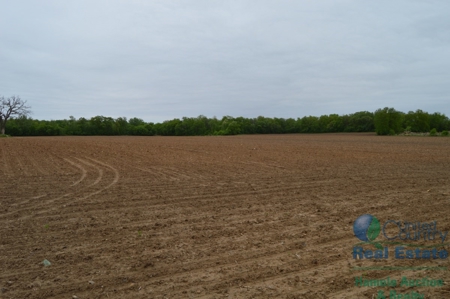 97 +/- Acres Columbia County Multi Parcel Land Auction July - image 10