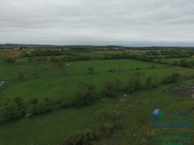 97 +/- Acres Columbia County Multi Parcel Land Auction July - image 23