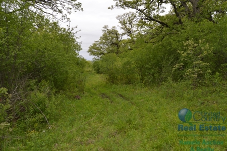 97 +/- Acres Columbia County Multi Parcel Land Auction July - image 18