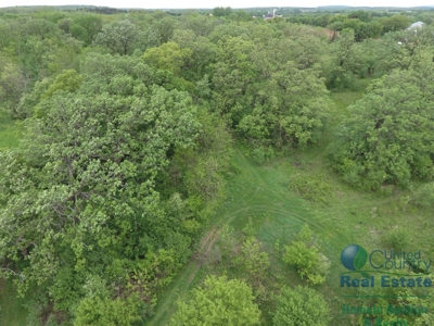 97 +/- Acres Columbia County Multi Parcel Land Auction July - image 5