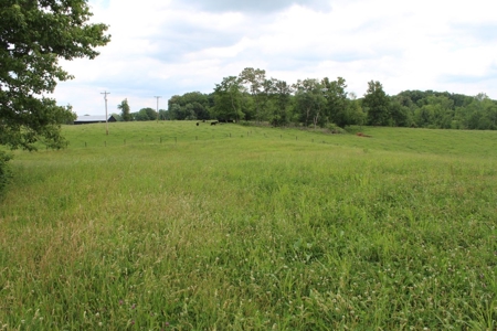 4.99 Acre Warren County Ky. Building Lot For Sale at Auction - image 7