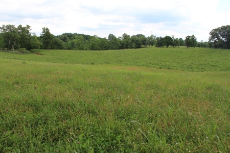 4.99 Acre Warren County Ky. Building Lot For Sale at Auction - image 8
