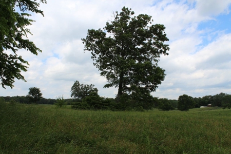 4.99 Acre Warren County Ky. Building Lot For Sale at Auction - image 12