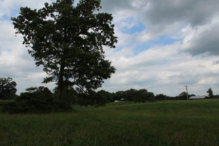 4.99 Acre Warren County Ky. Building Lot For Sale at Auction - image 14