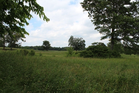 4.99 Acre Warren County Ky. Building Lot For Sale at Auction - image 13