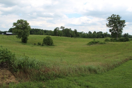 4.99 Acre Warren County Ky. Building Lot For Sale at Auction - image 4