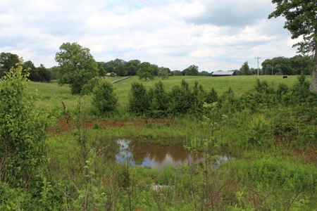 4.99 Acre Warren County Ky. Building Lot For Sale at Auction - image 16
