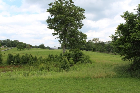4.99 Acre Warren County Ky. Building Lot For Sale at Auction - image 15