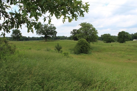 4.99 Acre Warren County Ky. Building Lot For Sale at Auction - image 10