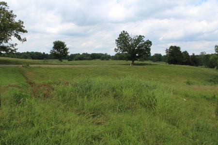 4.99 Acre Warren County Ky. Building Lot For Sale at Auction - image 6