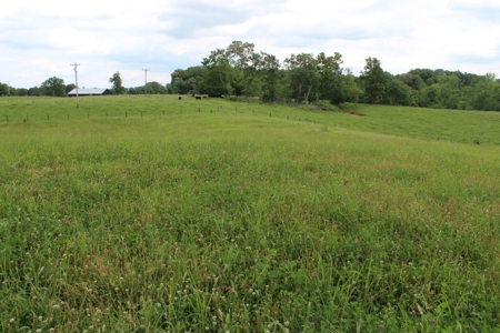 4.99 Acre Warren County Ky. Building Lot For Sale at Auction - image 9