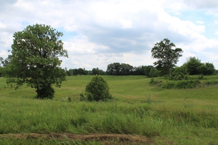 4.99 Acre Warren County Ky. Building Lot For Sale at Auction - image 3