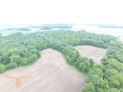 Monroe County Land Auction - image 24