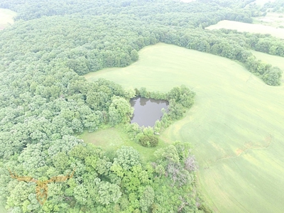 Monroe County Land Auction - image 17