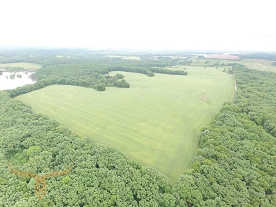 Monroe County Land Auction - image 11