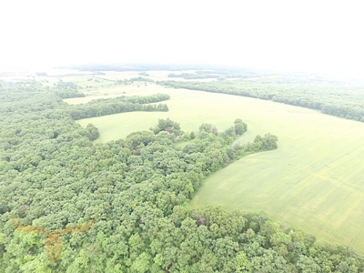 Monroe County Land Auction - image 18