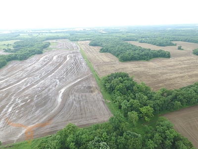 Monroe County Land Auction - image 30