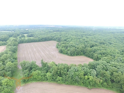 Monroe County Land Auction - image 23