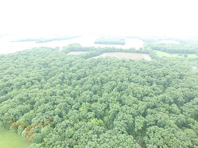 Monroe County Land Auction - image 26