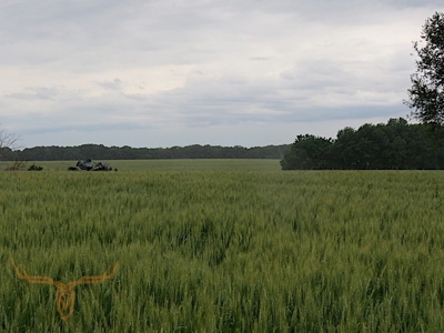 Monroe County Land Auction - image 22