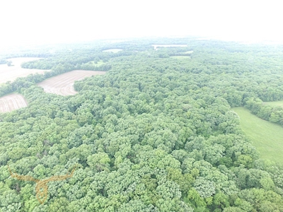 Monroe County Land Auction - image 28