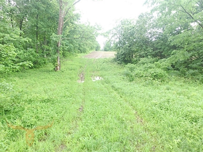 Monroe County Land Auction - image 31