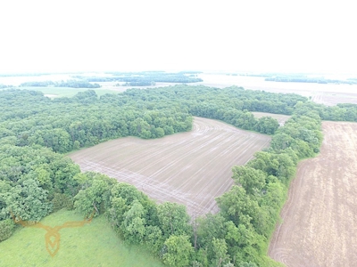 Monroe County Land Auction - image 25