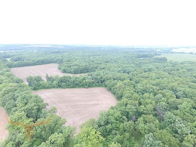 Monroe County Land Auction - image 32