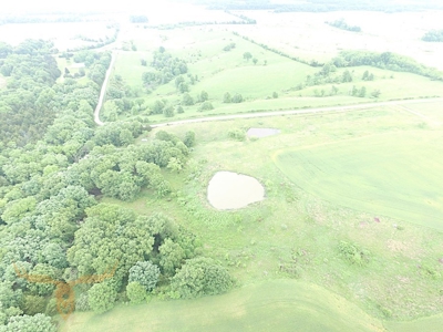 Monroe County Land Auction - image 20