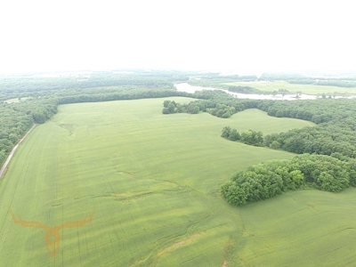 Monroe County Land Auction - image 14