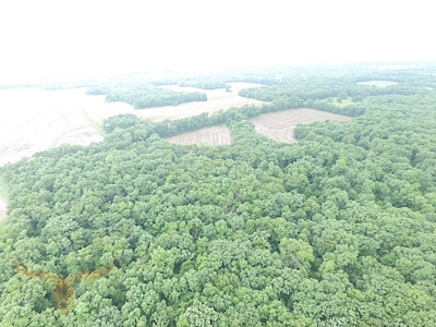 Monroe County Land Auction - image 29