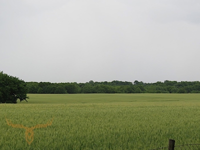 Monroe County Land Auction - image 8
