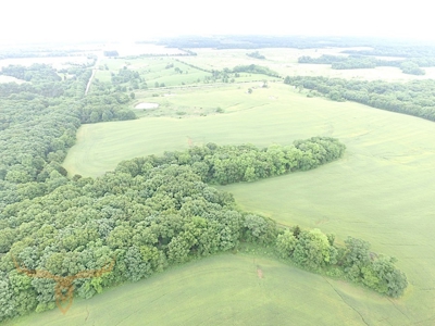 Monroe County Land Auction - image 19