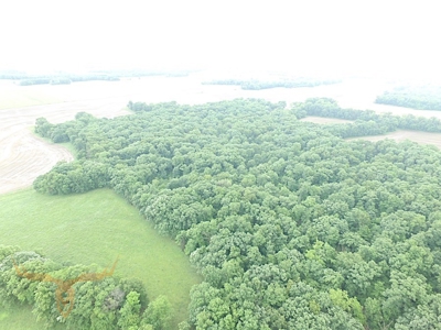 Monroe County Land Auction - image 27