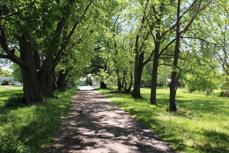 Hobby Farm  Bordering Neillsville Industrial Park - image 18