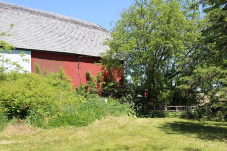 Hobby Farm  Bordering Neillsville Industrial Park - image 10