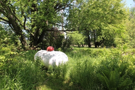 Hobby Farm  Bordering Neillsville Industrial Park - image 16