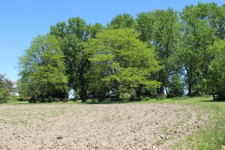 Hobby Farm  Bordering Neillsville Industrial Park - image 22