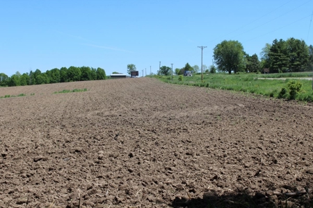 Hobby Farm  Bordering Neillsville Industrial Park - image 23