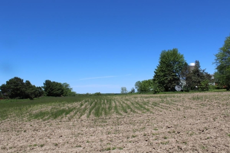 Hobby Farm  Bordering Neillsville Industrial Park - image 21